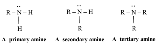 Nomenclature of Amines - Study Page